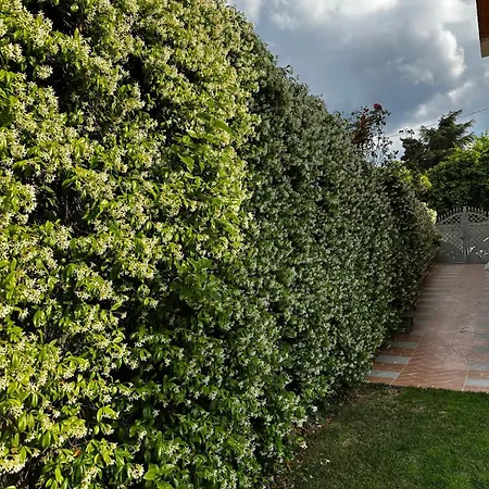 La Dolce Sosta フォンニ