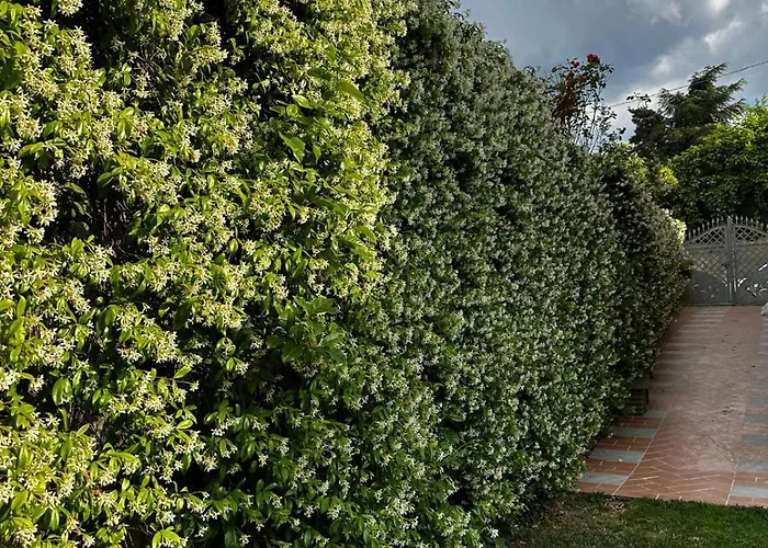 La Dolce Sosta Fonni